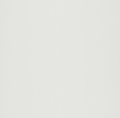 FORMA BRANCO AC 32X60R