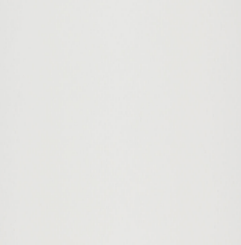 FORMA BRANCO BR 32,5X59